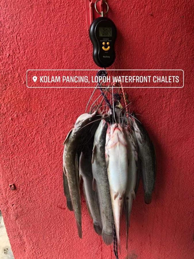 הוילה הולו לנגאט Lopoh Waterfront Budget Chalets מראה חיצוני תמונה